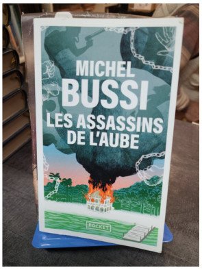 Les Assassins de l'aube - Michel Bussi