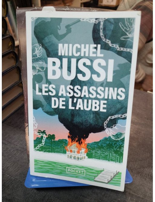 Les Assassins de l'aube - Michel Bussi