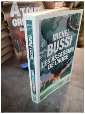 Les Assassins de l'aube - Michel Bussi