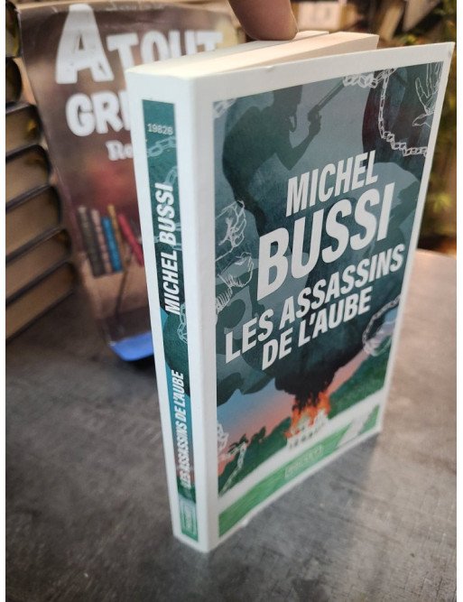 Les Assassins de l'aube - Michel Bussi