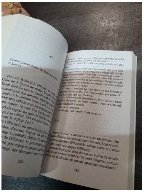 Les Assassins de l'aube - Michel Bussi