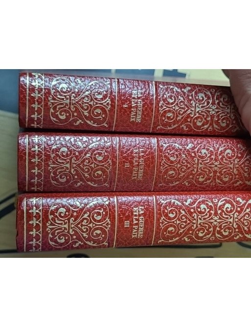 Lot de 19 livres : classiques de la littérature Russe