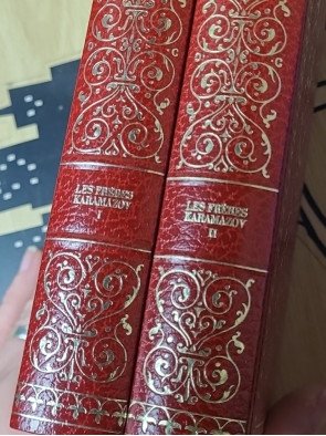 Lot de 19 livres : classiques de la littérature Russe