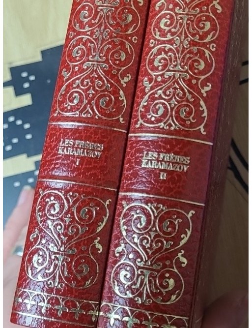 Lot de 19 livres : classiques de la littérature Russe