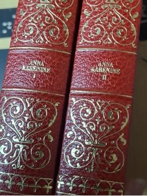 Lot de 19 livres : classiques de la littérature Russe