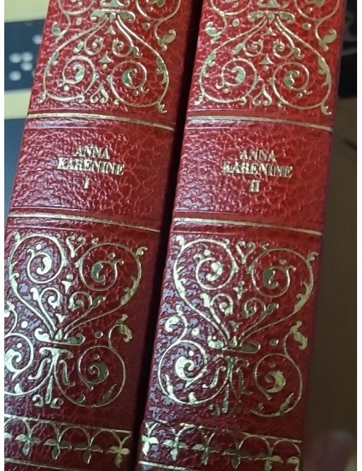 Lot de 19 livres : classiques de la littérature Russe