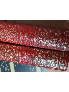 Lot de 19 livres : classiques de la littérature Russe