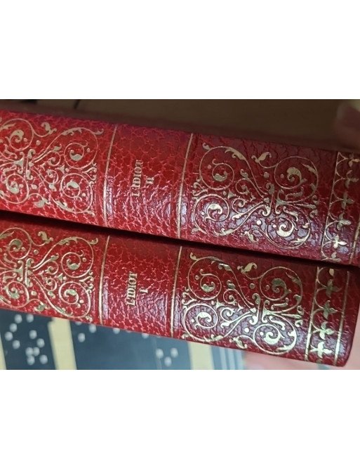 Lot de 19 livres : classiques de la littérature Russe