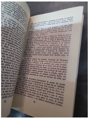 Tarzan - Le Fils De Tarzan de Edgar Rice Burroughs