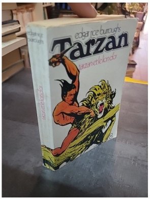 Tarzan et le lion d'or - Edgar Rice Burroughs