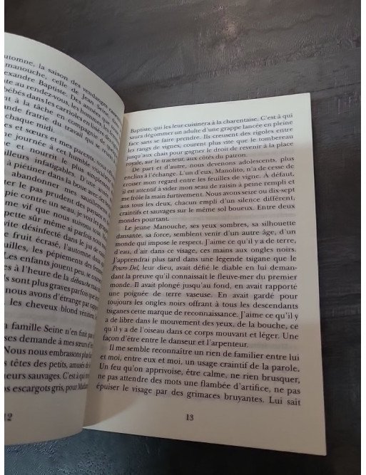 N'entre pas dans mon âme avec tes chaussures - Paola Pigani