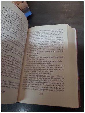 Au Coeur De l'Ouest - Penelope Williamson