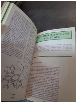 Observer la nature en promenade - Patricia Touyre