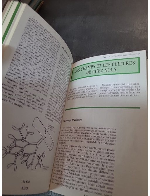 Observer la nature en promenade - Patricia Touyre