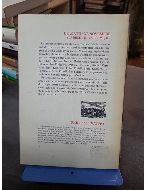 Un matin de novembre - Philippe Bouquet