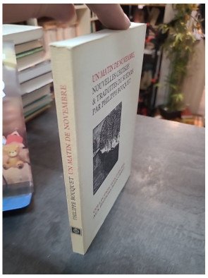 Un matin de novembre - Philippe Bouquet