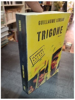 Trigone (La dernière guerre 2008-2011, Tome 3) - Guillaume Lebeau