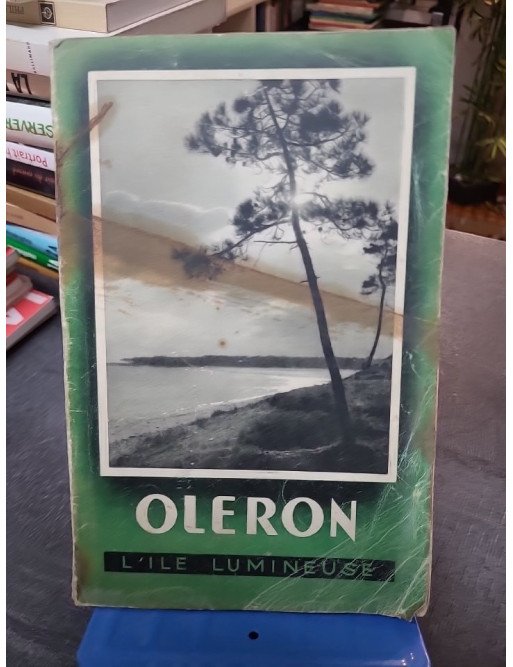 Les pieds dans l'O - Guide pratique et poétique des plages de l'Île d'Oléron - Magnezium éditions