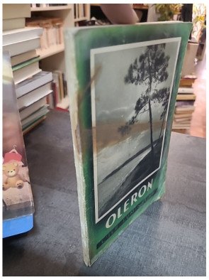 Les pieds dans l'O - Guide pratique et poétique des plages de l'Île d'Oléron - Magnezium éditions