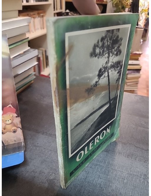 Les pieds dans l'O - Guide pratique et poétique des plages de l'Île d'Oléron - Magnezium éditions