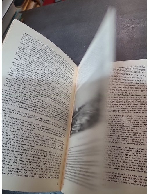 Les pieds dans l'O - Guide pratique et poétique des plages de l'Île d'Oléron - Magnezium éditions