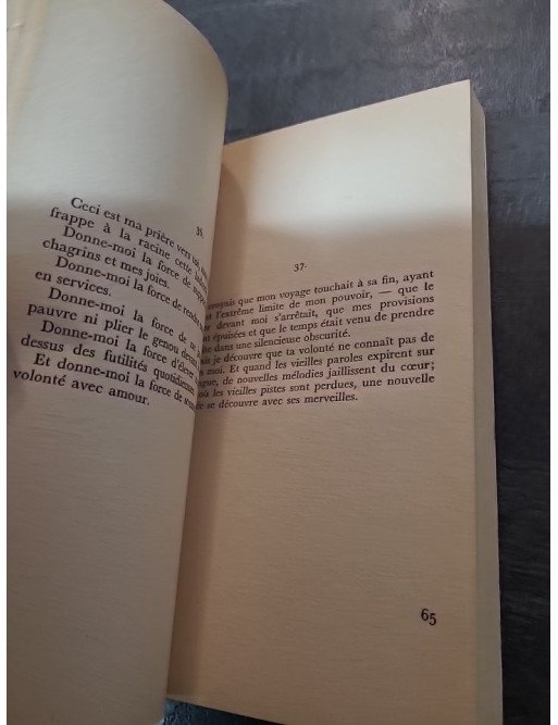 L'Offrande Lyrique & La Corbeille de Fruits - Rabindranath Tagore, Prix Nobel (Poésie Gallimard, Trad. Gide)