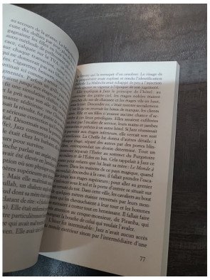 Un an et un jour - Roman fantastique et philosophique de Pascal Bruckner (Le Livre de Poche)