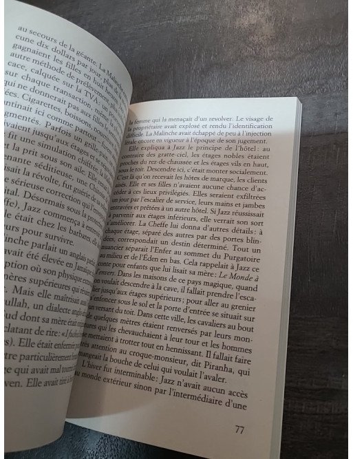 Un an et un jour - Roman fantastique et philosophique de Pascal Bruckner (Le Livre de Poche)