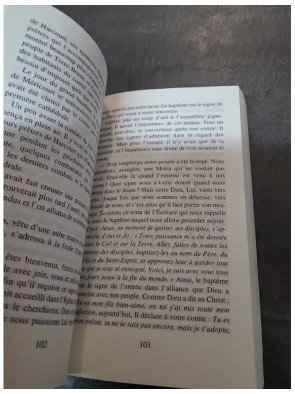 La nuit de la louve (La Moïra) - Henri Loevenbruck