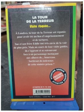 Chair De Poule Tome 18 - La Tour De La Terreur - R.-L. Stine
