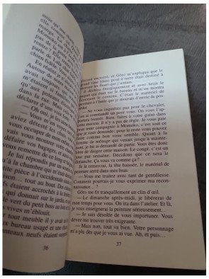 Le Chat Dans Le Cercueil Mariko Koike - Roman policier