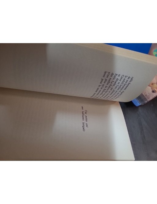 Printemps français suivi de Poèmes satiriques et lettres - Stig Dagerman, reportages et littérature suédoise