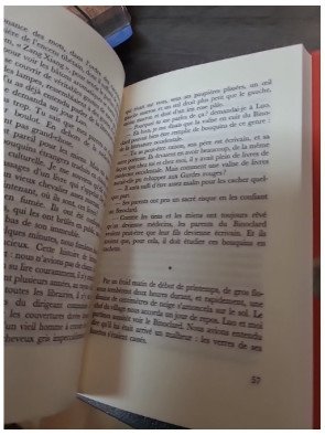 Balzac et la petite tailleuse chinoise de Sijie Dai : le pouvoir de la littérature en Chine communiste