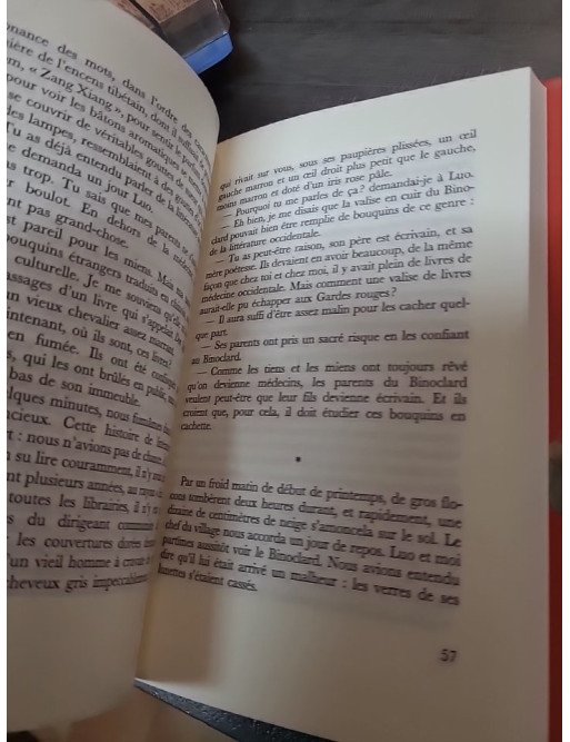 Balzac et la petite tailleuse chinoise de Sijie Dai : le pouvoir de la littérature en Chine communiste