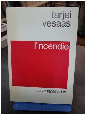 L'Incendie par Tarjei Vesaas : un roman norvégien poignant sur l'identité et le traumatisme (1992)