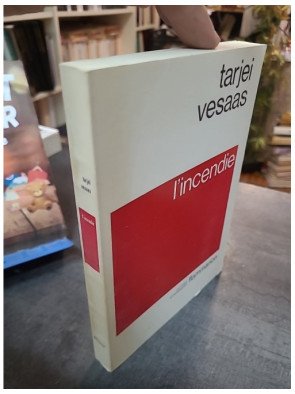 L'Incendie par Tarjei Vesaas : un roman norvégien poignant sur l'identité et le traumatisme (1992)