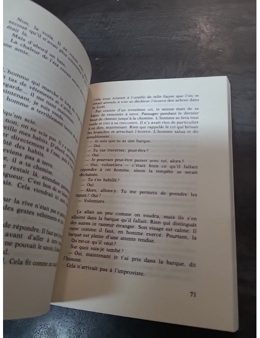 L'Incendie par Tarjei Vesaas : un roman norvégien poignant sur l'identité et le traumatisme (1992)