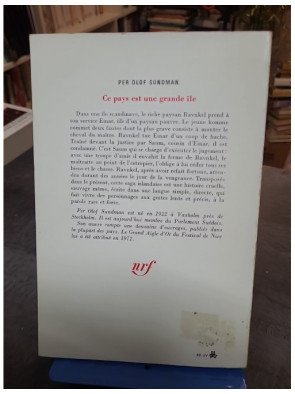 Ce pays est une grande île par P.O. Sundman : la saga islandaise de Ravnkel transposée en un roman scandinave (1980)