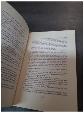 Ce pays est une grande île par P.O. Sundman : la saga islandaise de Ravnkel transposée en un roman scandinave (1980)