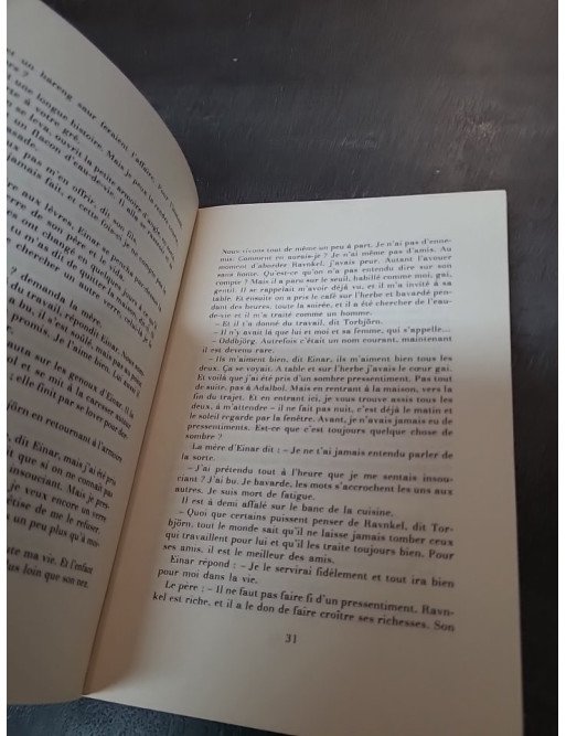 Ce pays est une grande île par P.O. Sundman : la saga islandaise de Ravnkel transposée en un roman scandinave (1980)
