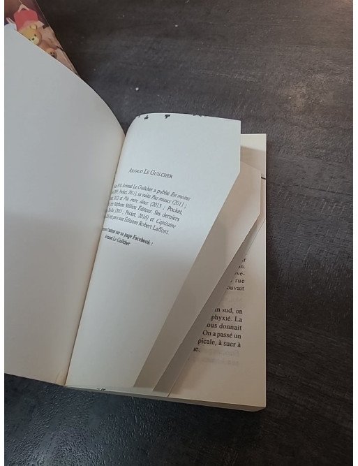 En moins bien - Roman humoristique et absurde par Arnaud Le Guilcher | Poche Pocket (avec déffo de fabrication)