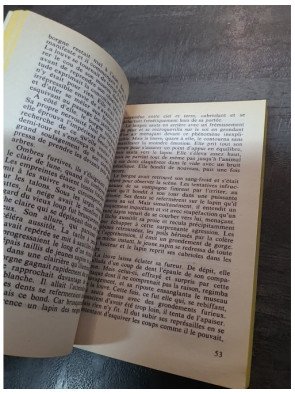 Croc-Blanc par Jack London | Roman d'aventure et classique de la littérature internationale | Le Livre de Poche