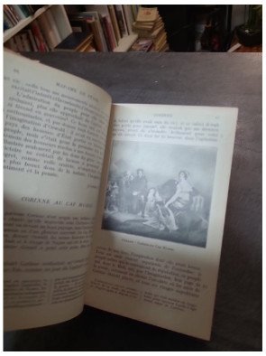 Anthologie des Romanciers du XIXe Siècle par Edouard Maynial | Classiques français de la Librairie Hachette