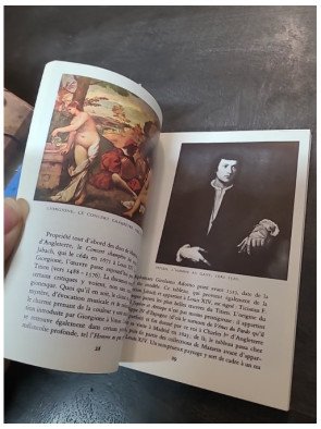 Musée du Louvre - Peintures (édition de 1971) - Fernand Hazan | Beaux-Arts