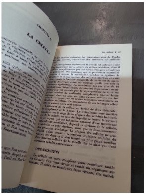 Le corps 1 l'homme ses structures et sa physiologie - Roger Priouret
