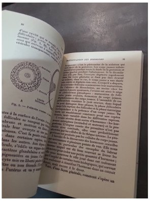 Les Hormones - Pierre Rey