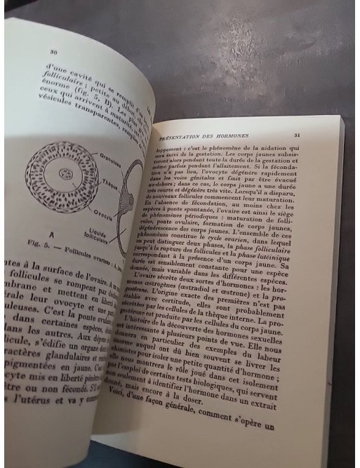 Les Hormones - Pierre Rey