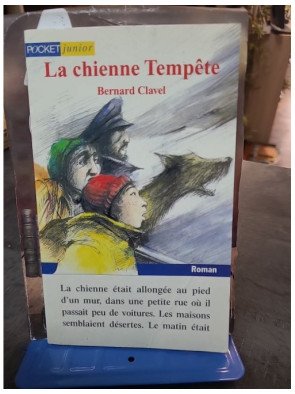La chienne tempête - Bernard Clavel