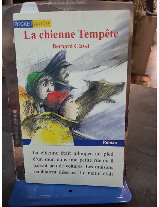 La chienne tempête - Bernard Clavel