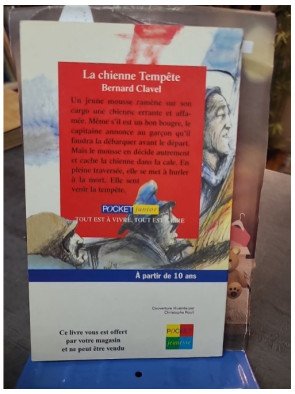 La chienne tempête - Bernard Clavel